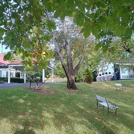 Moore Park Inn Армидейл Экстерьер фото