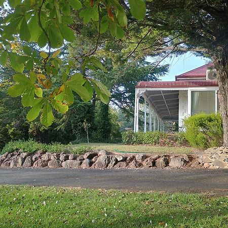 Moore Park Inn Армидейл Экстерьер фото